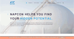 Desktop Screenshot of napconsuite.com