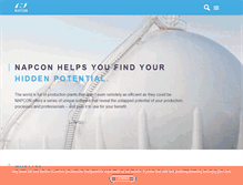 Tablet Screenshot of napconsuite.com